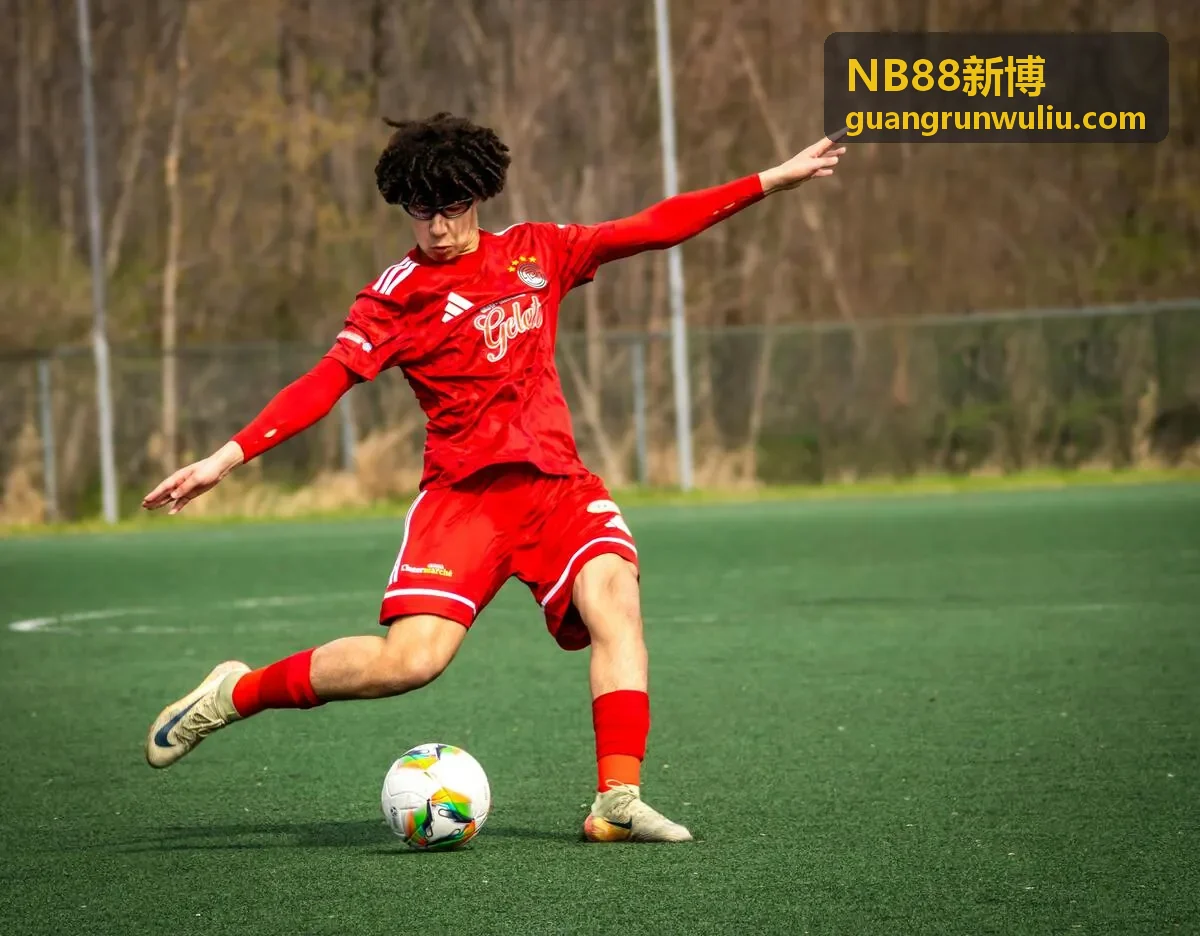 NB88新博仓储覆盖